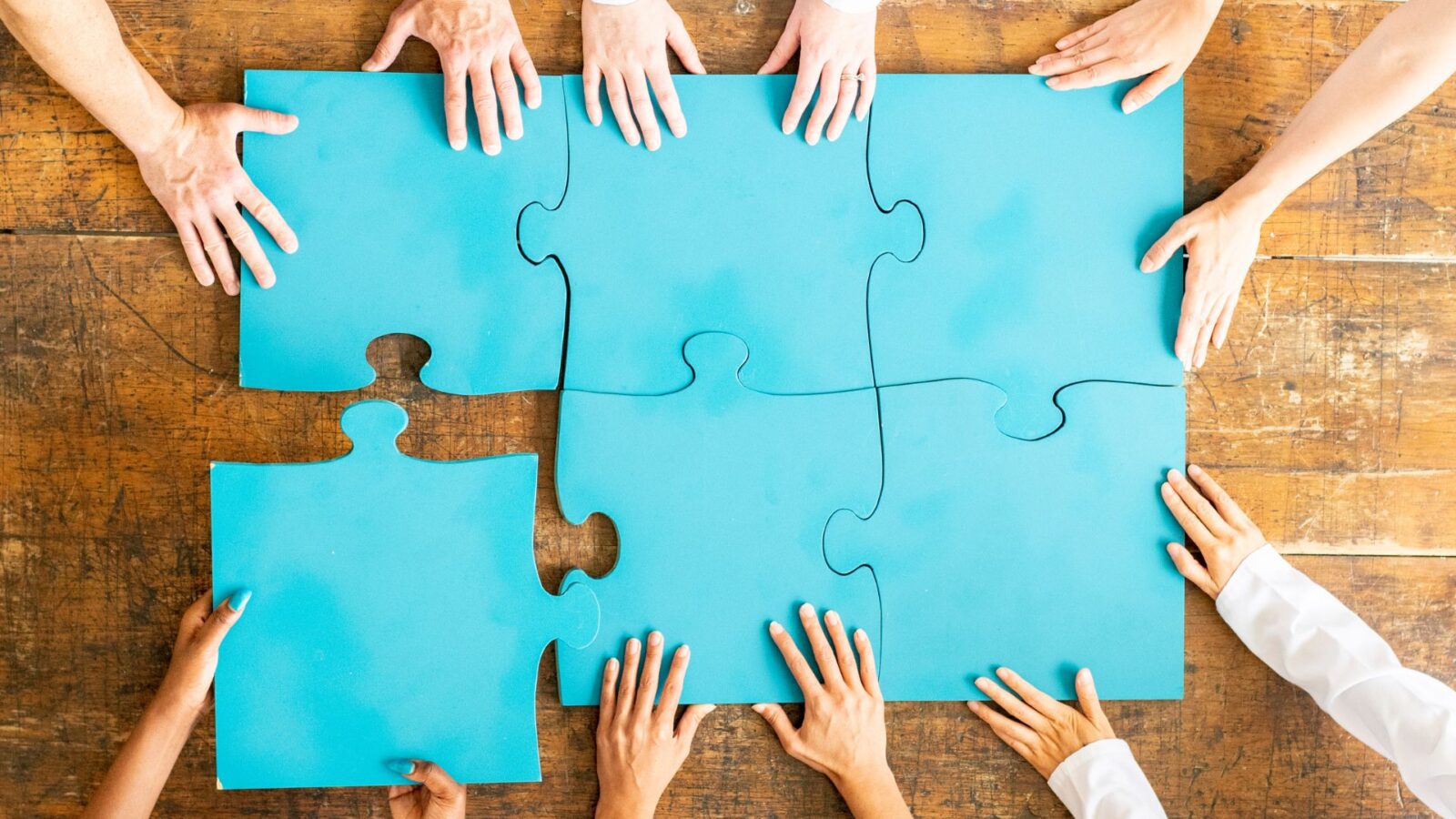 갤럽 화합 강점